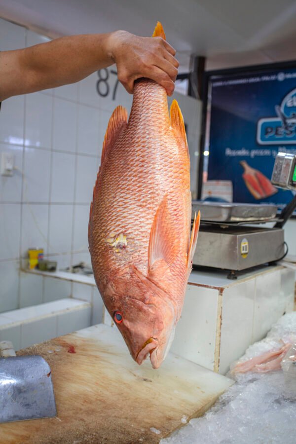 IMG_1680 Huachinango