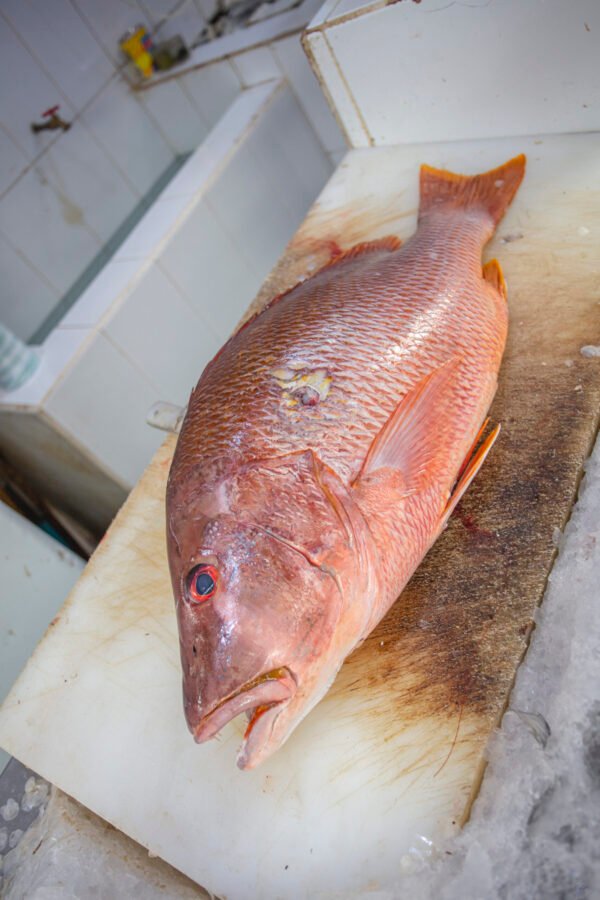 IMG_1684 Huachinango