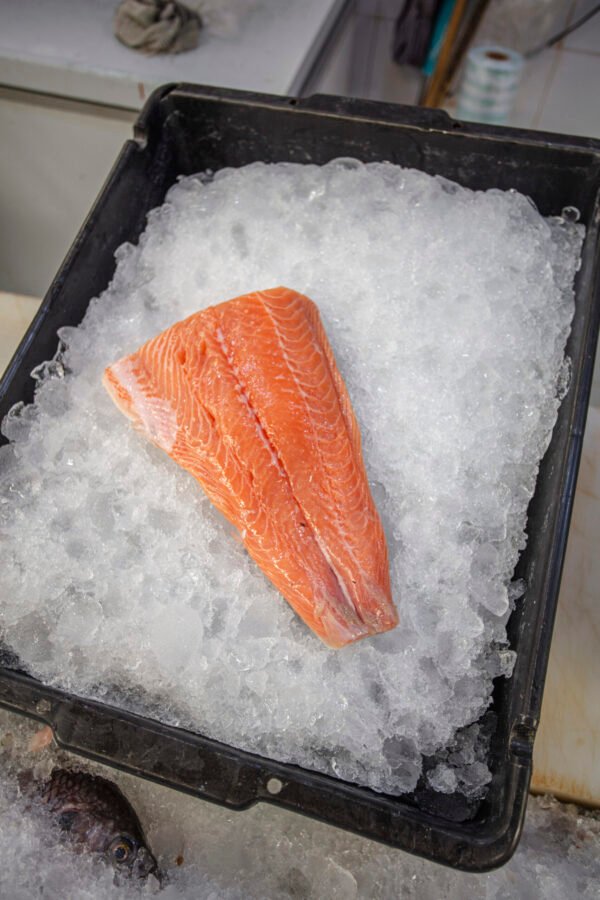 IMG_1760 Filete de Salmón