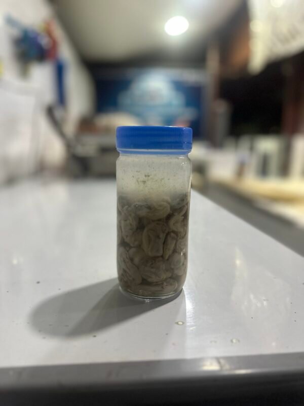 Ostión en frasco